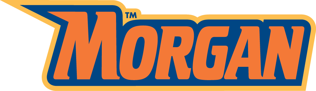 Morgan State Bears 2002-Pres Wordmark Logo v7 diy iron on heat transfer